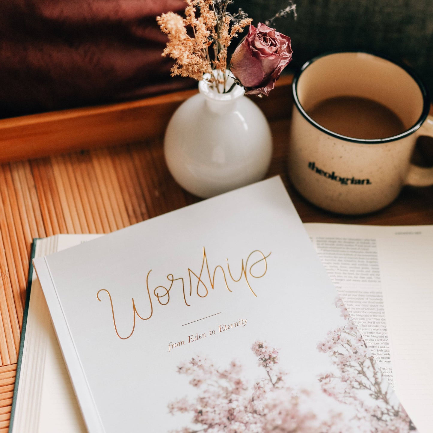 Worship Bible Study