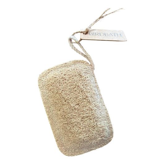 New Double Sided Loofa SpongeÂ