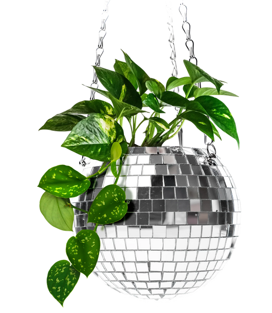 Disco Plant Hanger