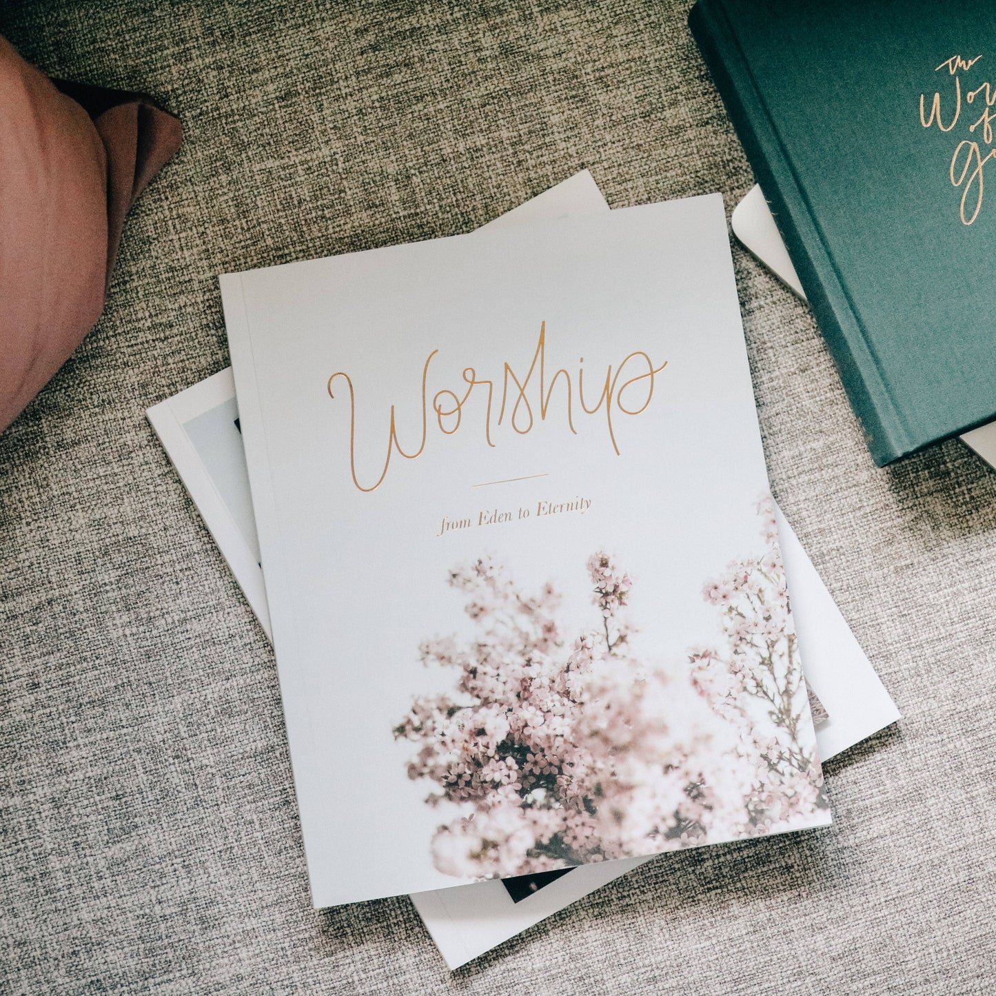 Worship Bible Study