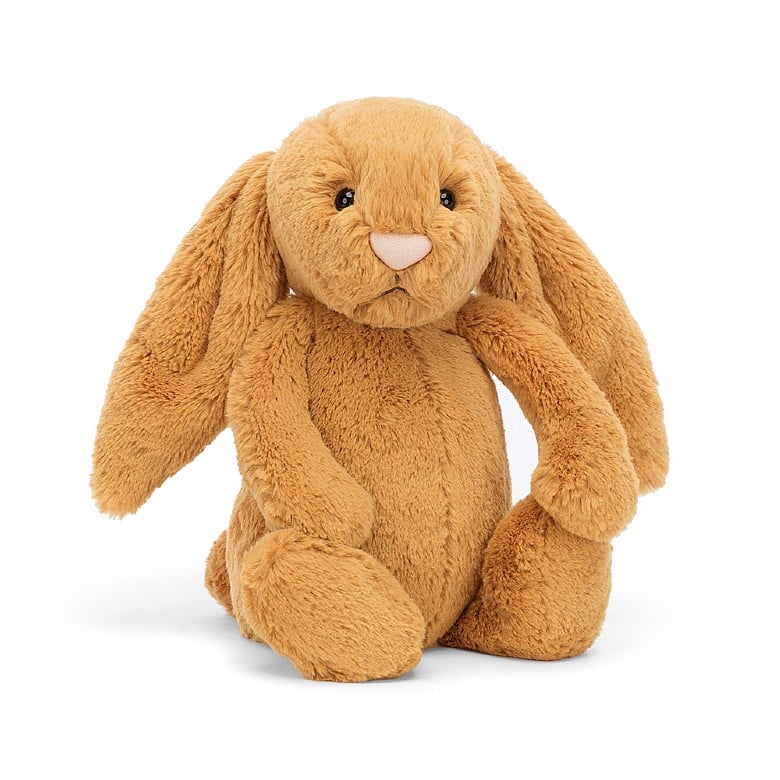 Golden Bashful Bunny | Small