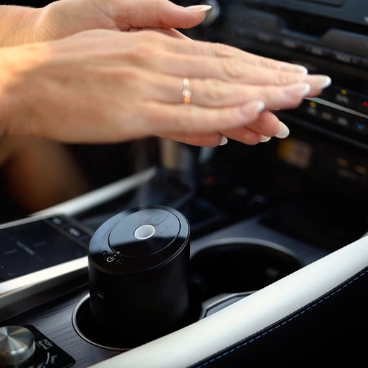 Touchless Car Mist Sanitizer