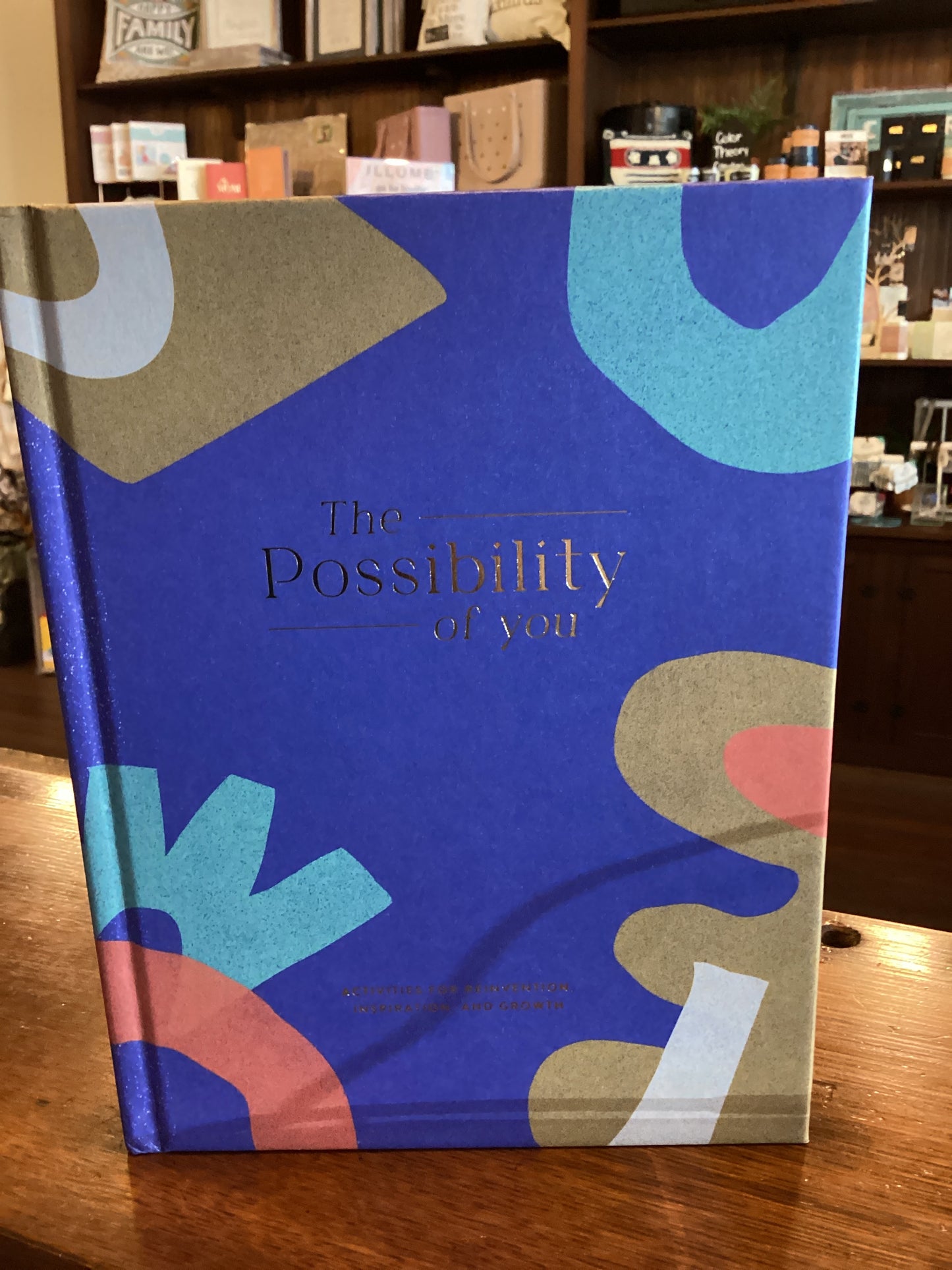 The Possibility of You