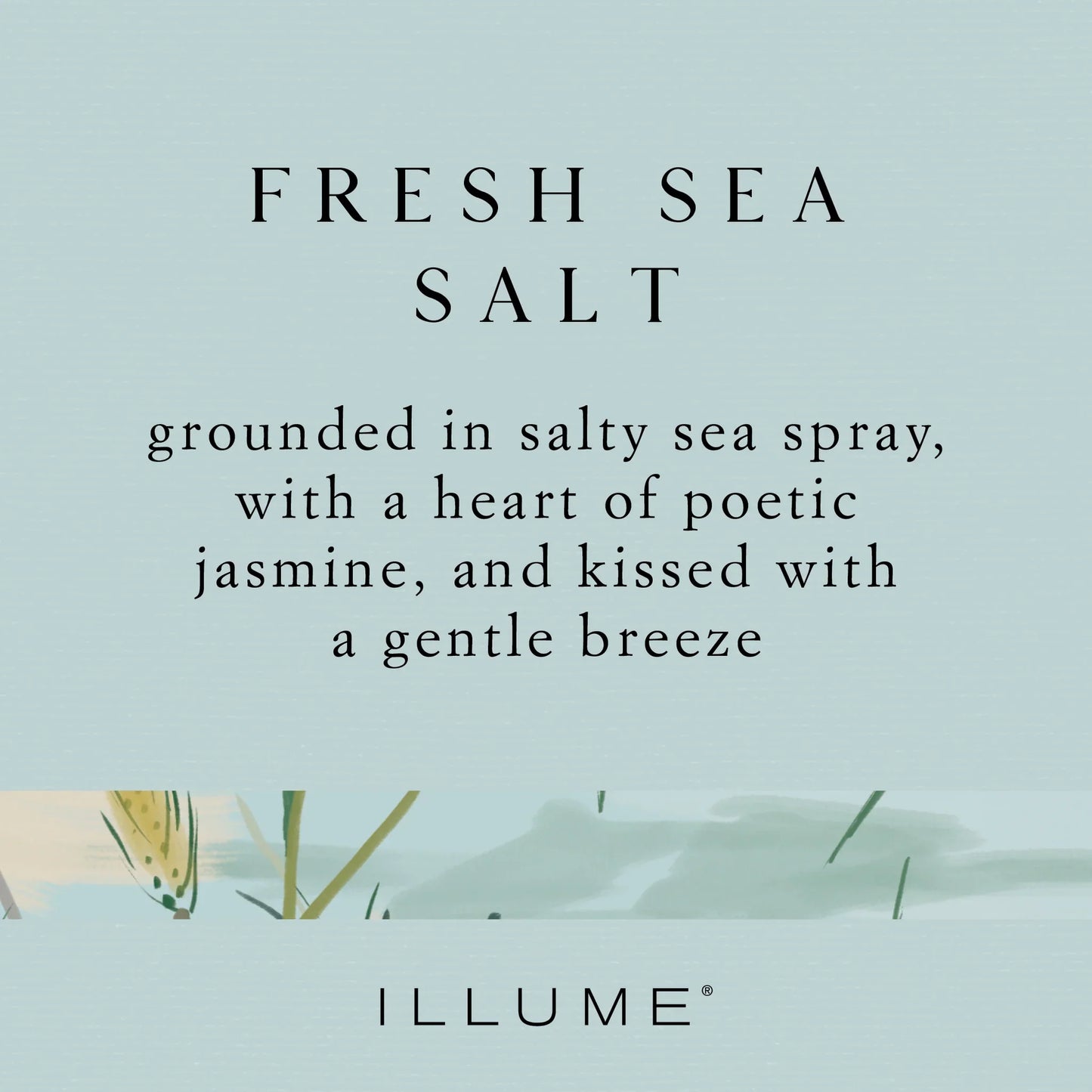 Vanity Tin Candle Sm. | Fresh Sea Salt