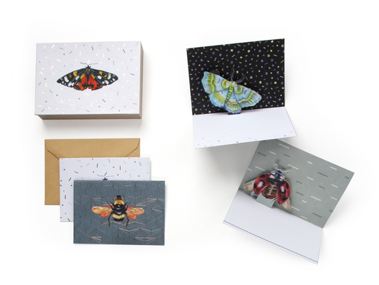 Wings Card Set