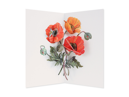 Poppies - Hiromi Takeda - Paper Artisan Series