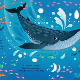 Arctic Animals Sound Book