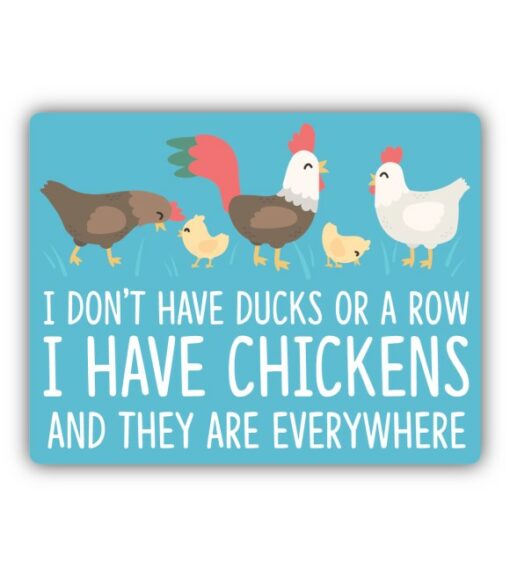 I Don’t Have Ducks Sticker