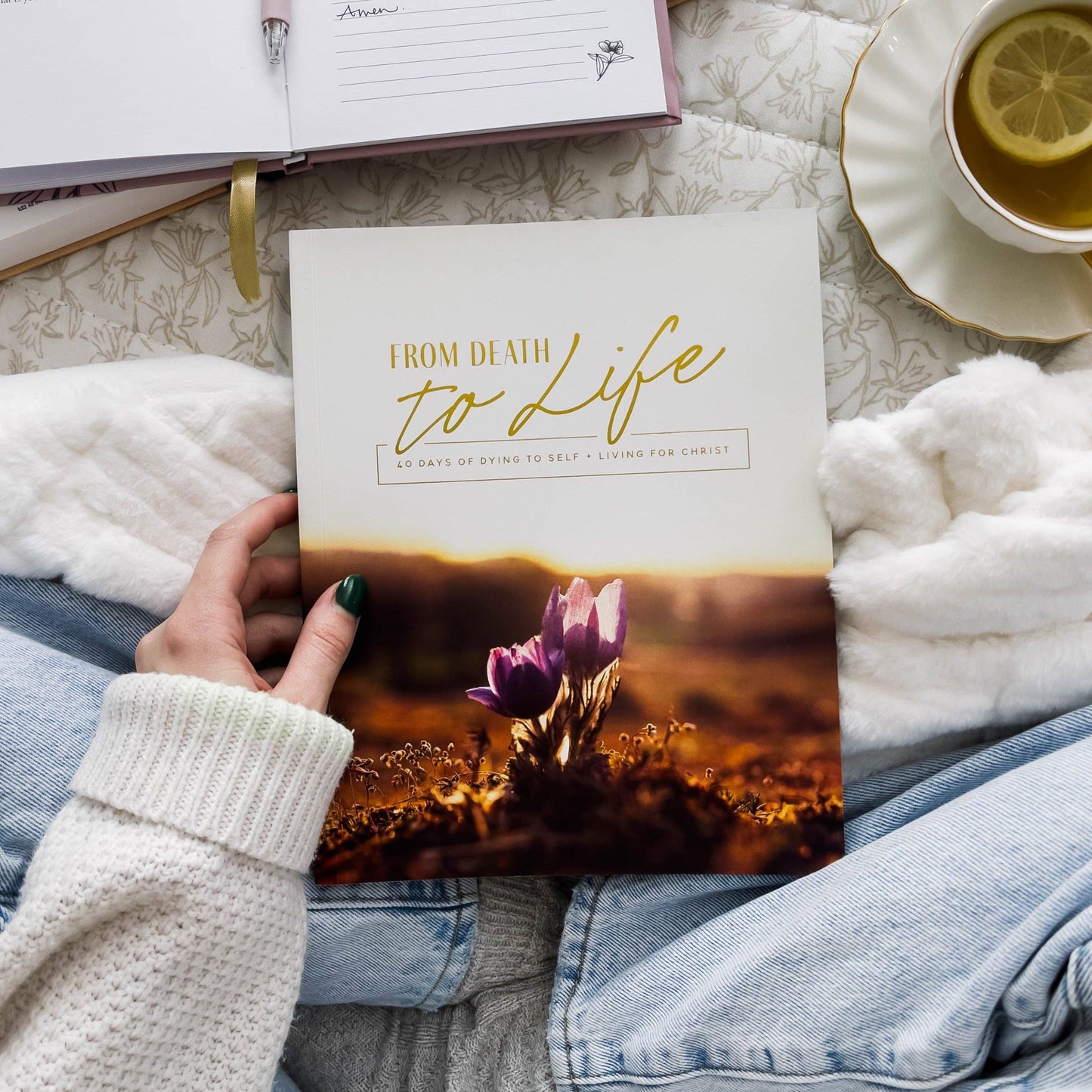 The Daily Grace Co - From Death to Life | 40 Days of Dying to Self and Living for