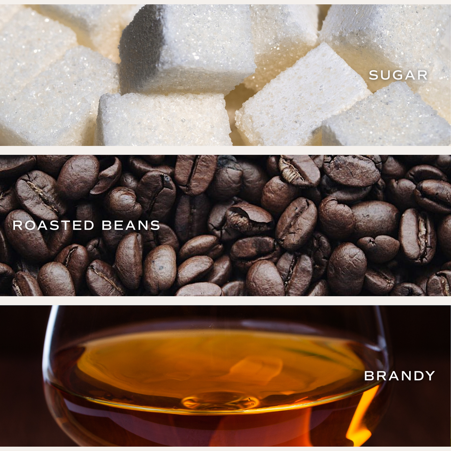 Fresh Coffee 11 oz Soy Candle - Home Decor & Gifts