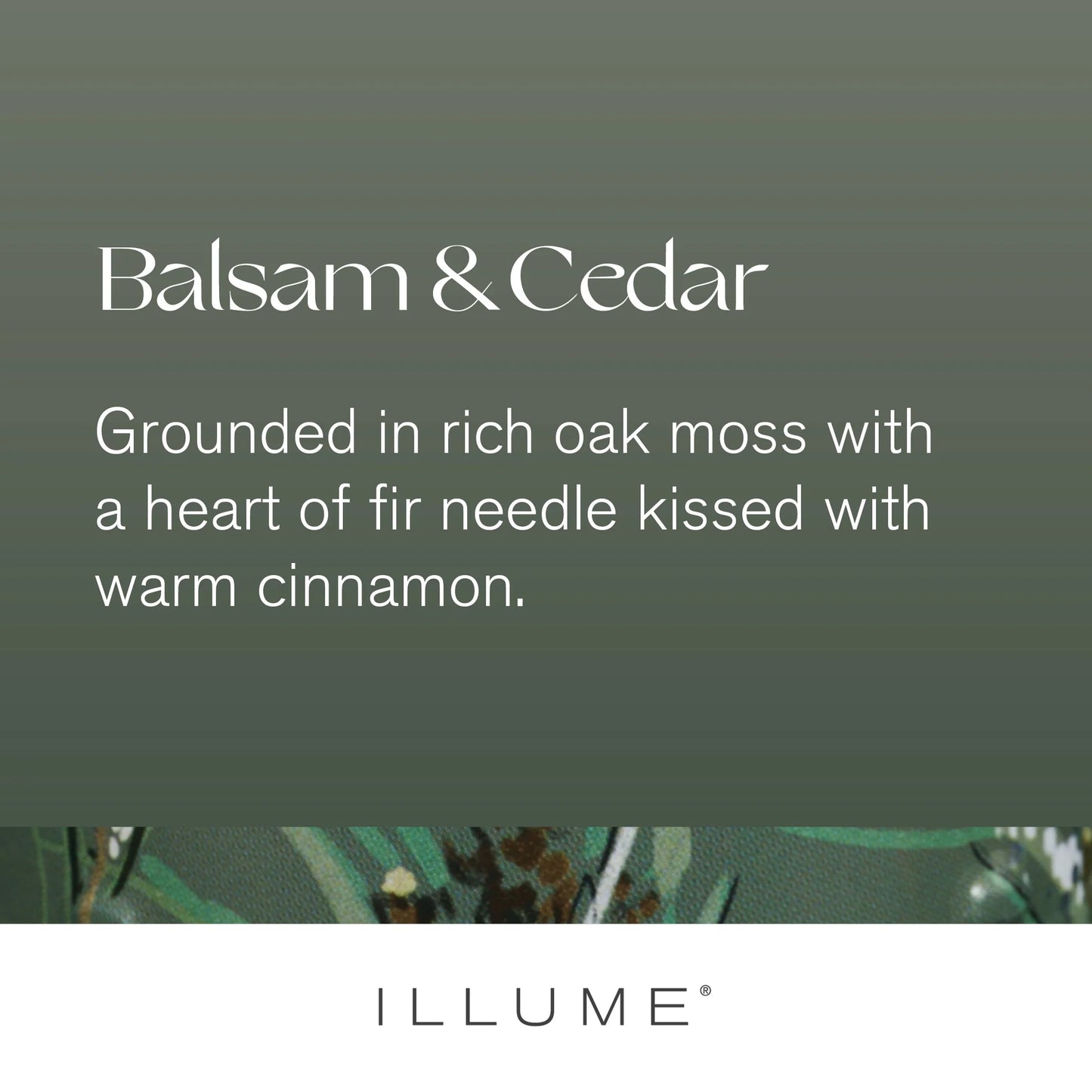 Balsam & Cedar Tins