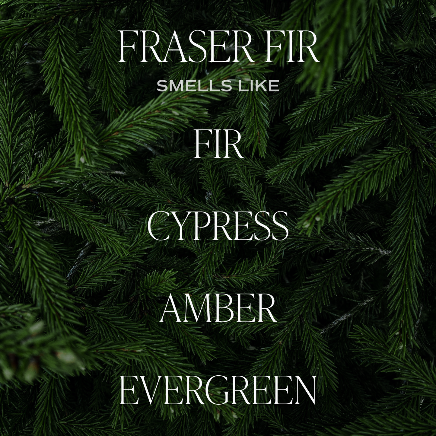 Sweet Water Decor - Fraser Fir 11 oz Soy Candle - Christmas Home Decor & Gifts