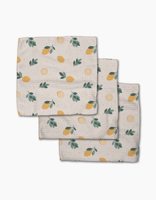 Geometry - Freshly Picked Dishcloth Set