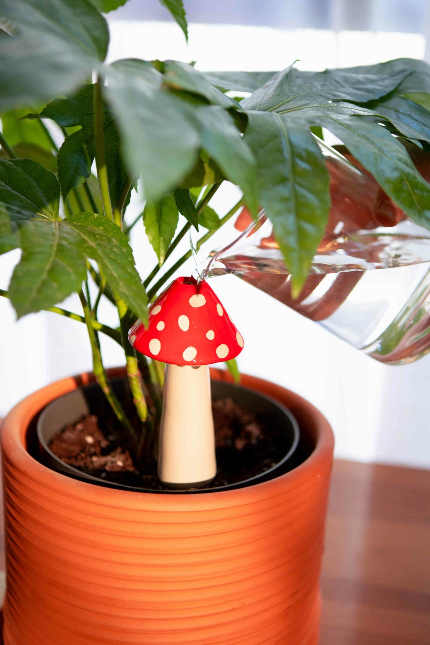 Self-Watering Mushroom