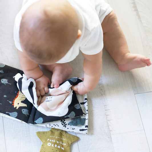 Baby's First Soft Book | Peek-A-Boo Ocean