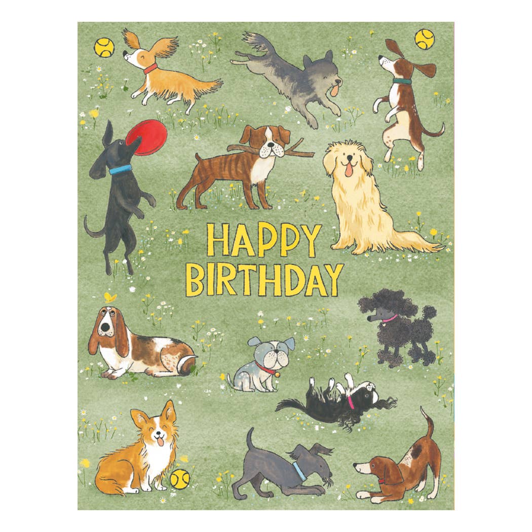 Studio Eleven Papers - NO SRP - Dog Park Birthday Card