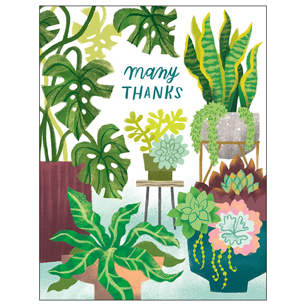 Studio Eleven Papers - No SRP - Houseplants Thank You Card