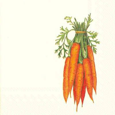 Carrot Napkins | 2 Sizes
