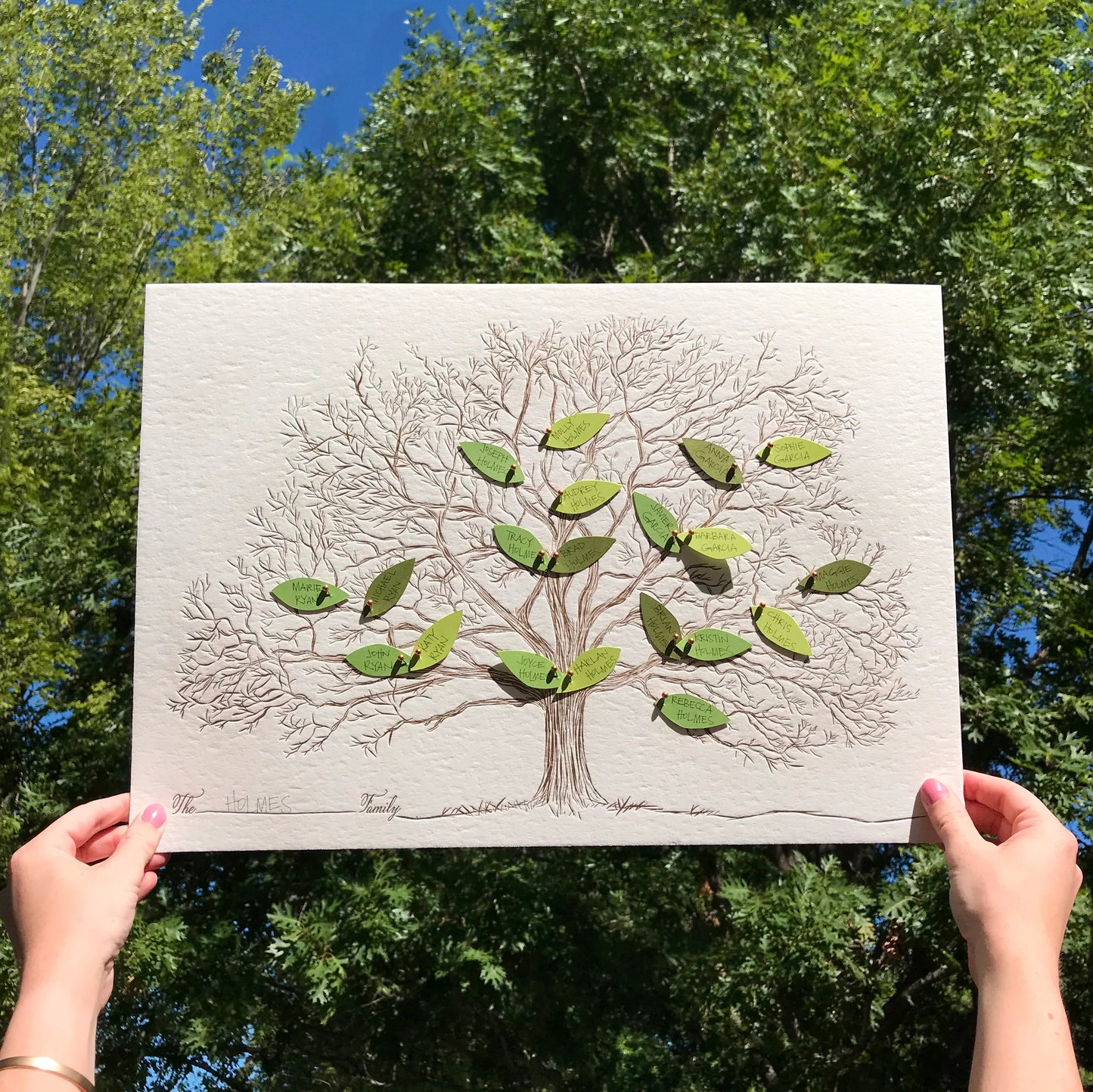 Make Your Own Family Tree