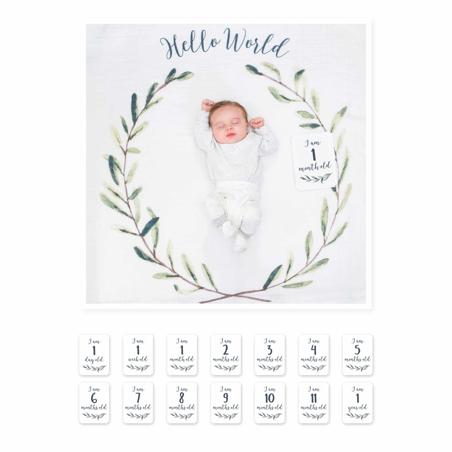 Baby's First Year Blanket & Cards | Hello World