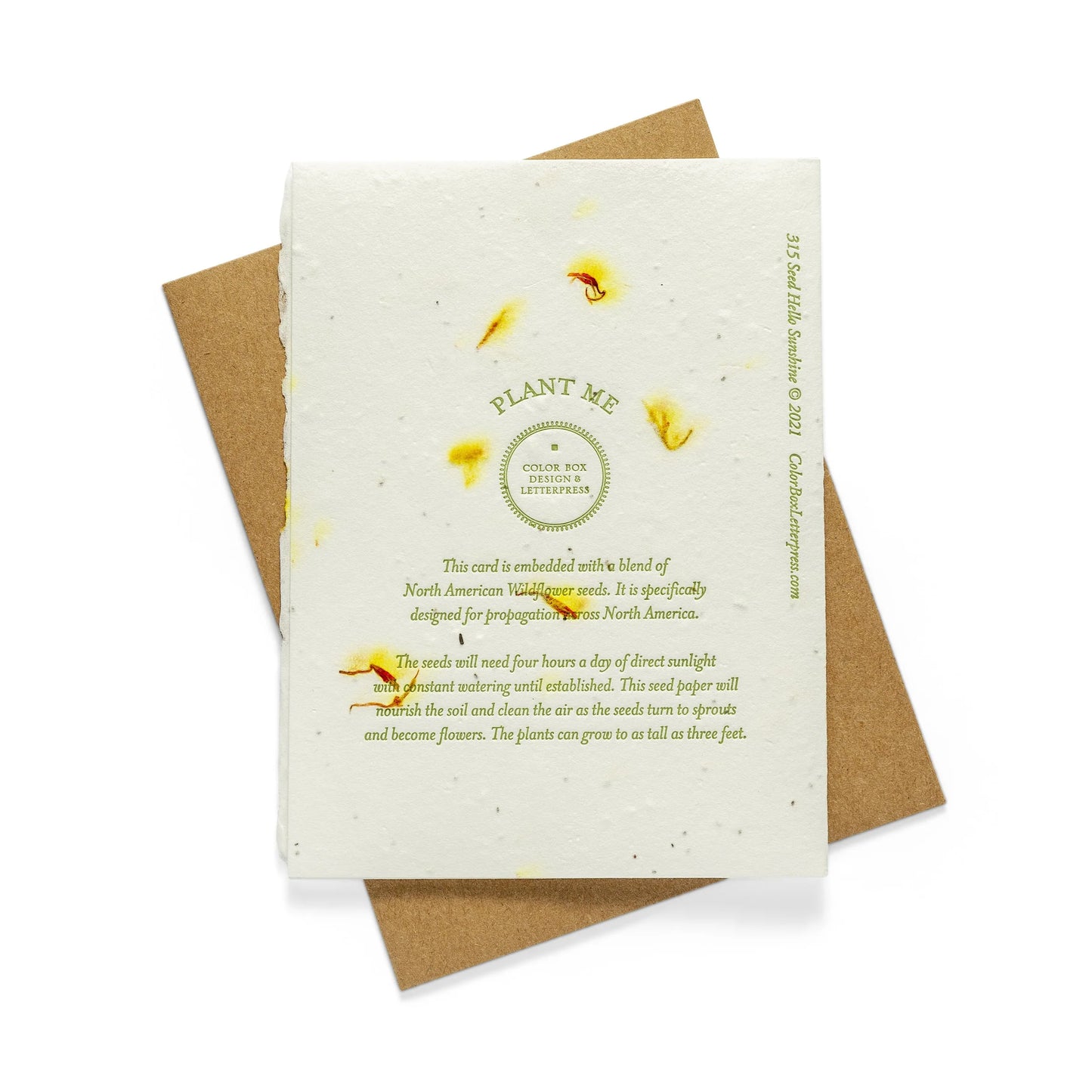 New Home Seed Greeting Card